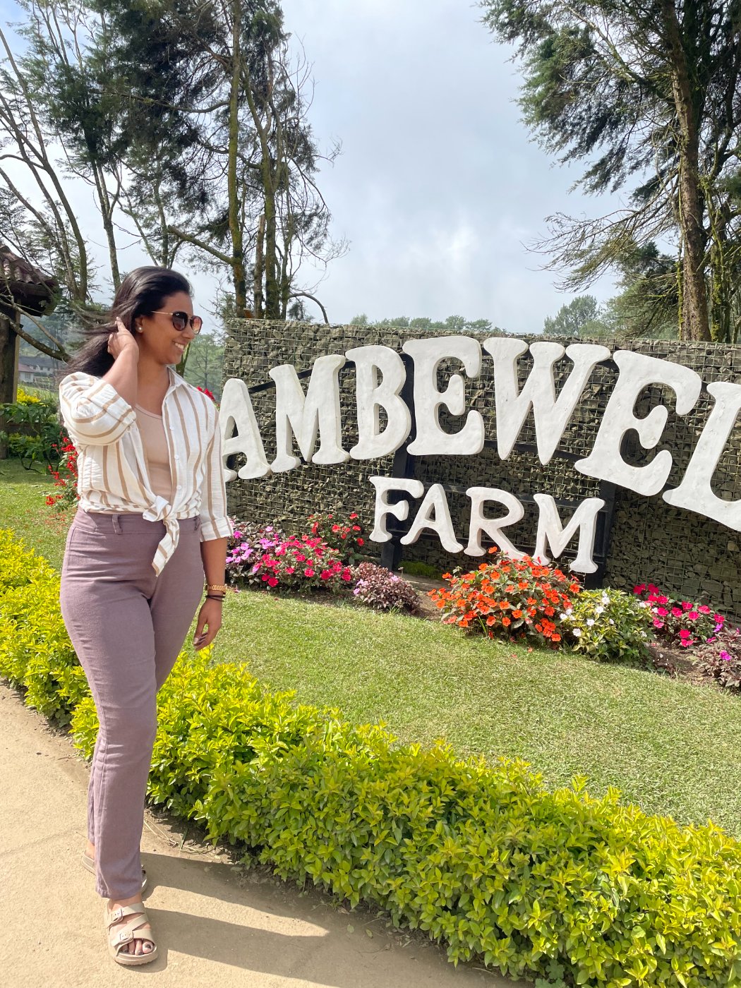 Walking past the Ambewela Farm sign